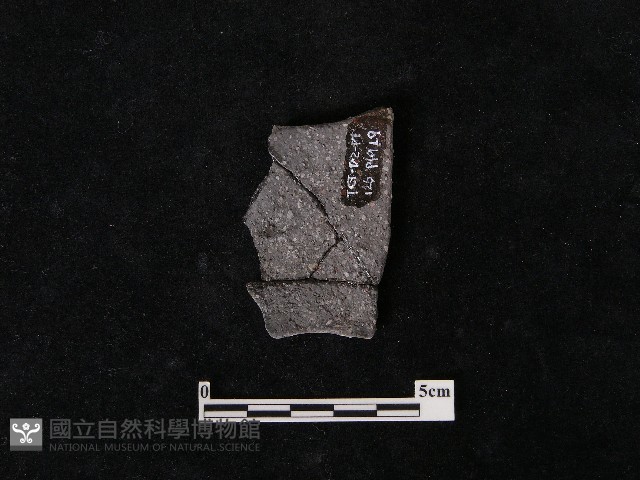 陶片藏品圖，第1張