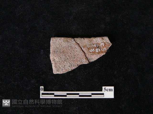 陶片藏品圖，第2張