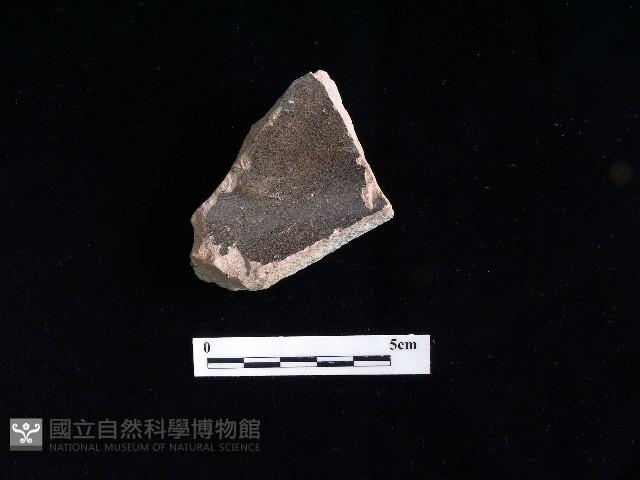 陶片藏品圖，第2張