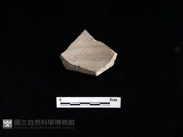 陶片藏品圖，第2張