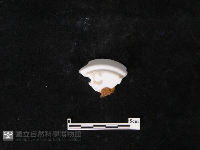 瓷片藏品圖，第3張