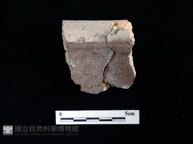 陶片藏品圖，第1張