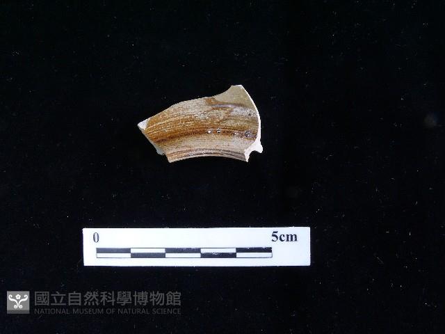 陶壺藏品圖，第1張