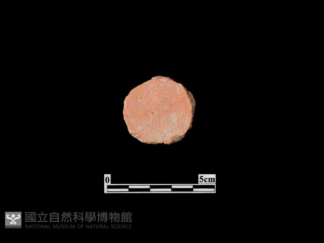 玩具藏品圖，第2張