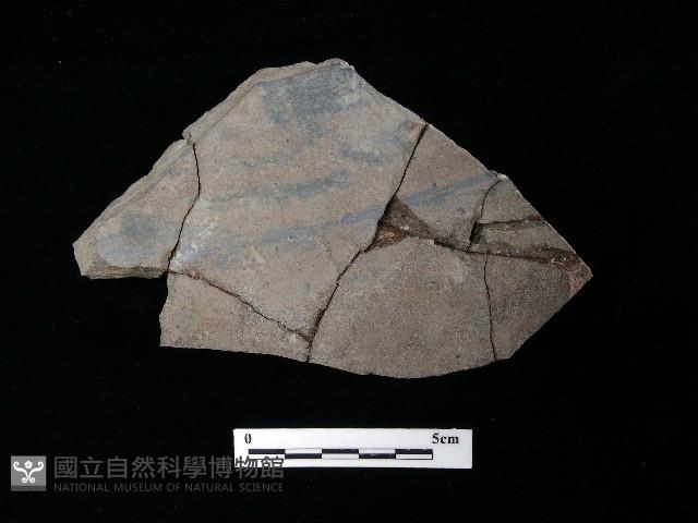 陶片藏品圖，第2張