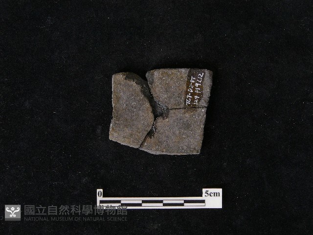 陶片藏品圖，第2張