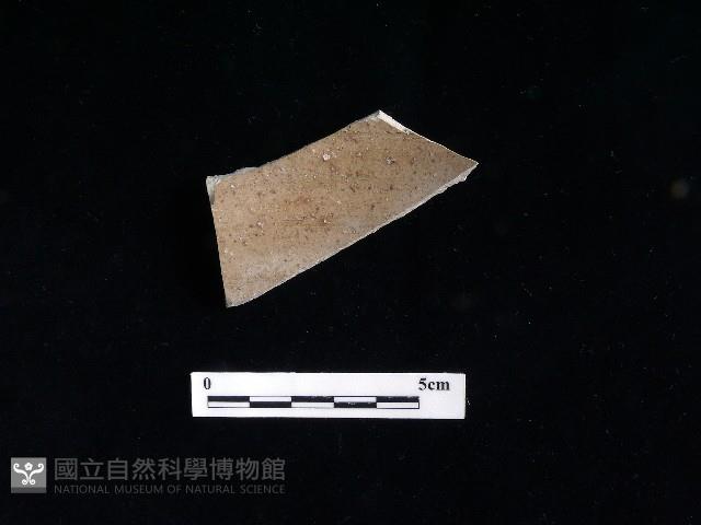 陶片藏品圖，第2張