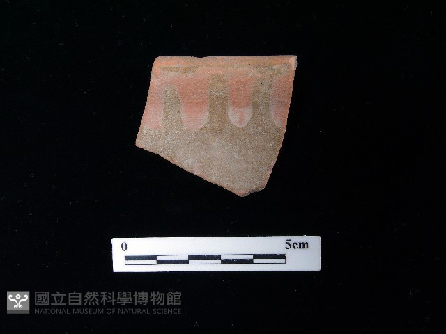 陶片藏品圖，第2張