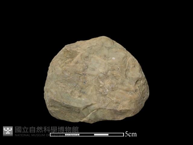 石球藏品圖，第2張