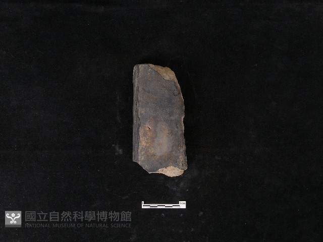 瓦片藏品圖，第2張