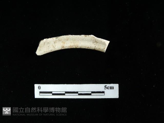 陶壺藏品圖，第2張