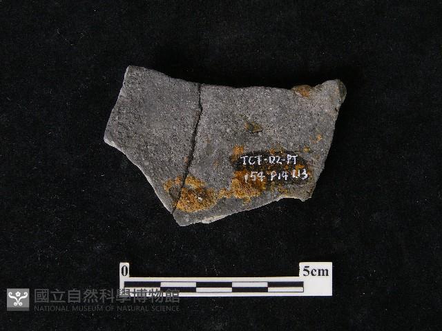 陶片藏品圖，第1張