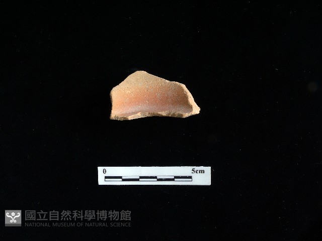 陶片藏品圖，第1張