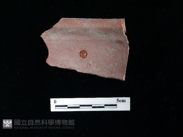 陶片藏品圖，第1張