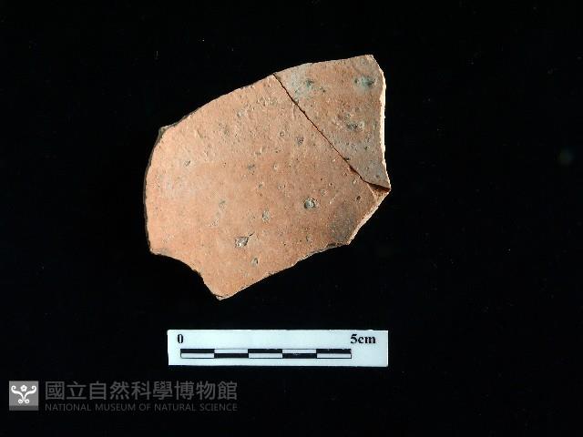 陶片藏品圖，第1張