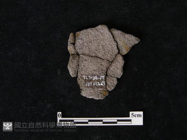 陶片藏品圖，第2張