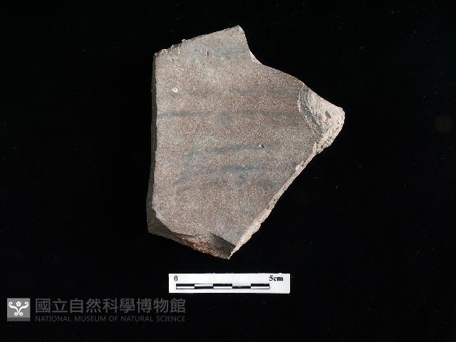 陶片藏品圖，第2張