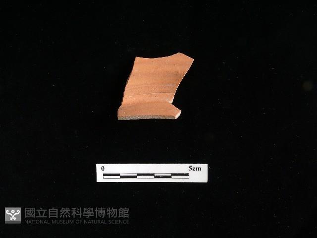 陶片藏品圖，第2張