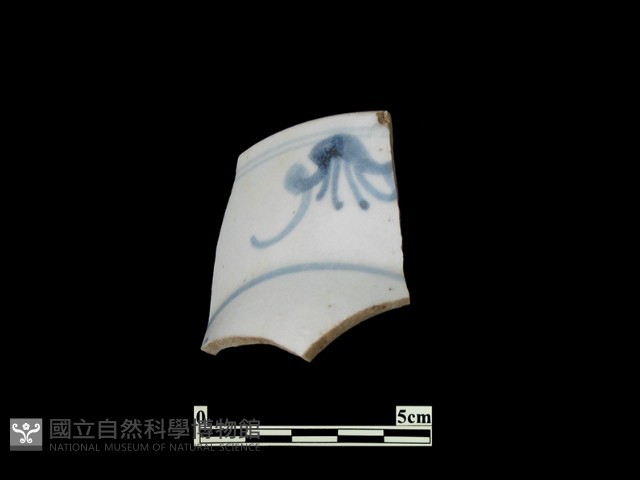 帶紋飾瓷片藏品圖，第1張