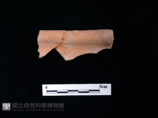 陶片藏品圖，第1張