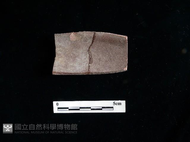 陶片藏品圖，第2張