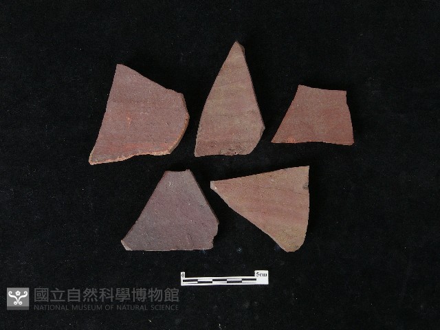陶片藏品圖，第2張
