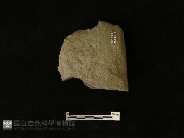 斧鋤形器藏品圖，第2張