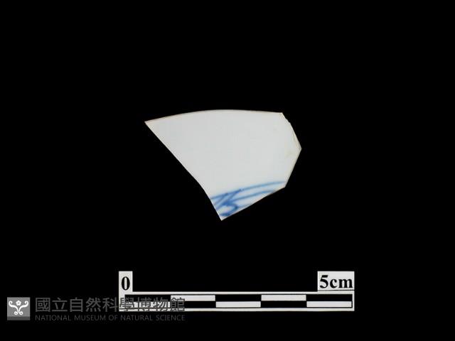 帶紋飾瓷片藏品圖，第1張