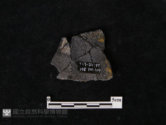 陶片藏品圖，第1張