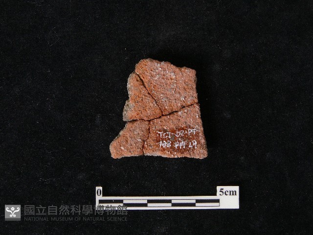 陶片藏品圖，第1張