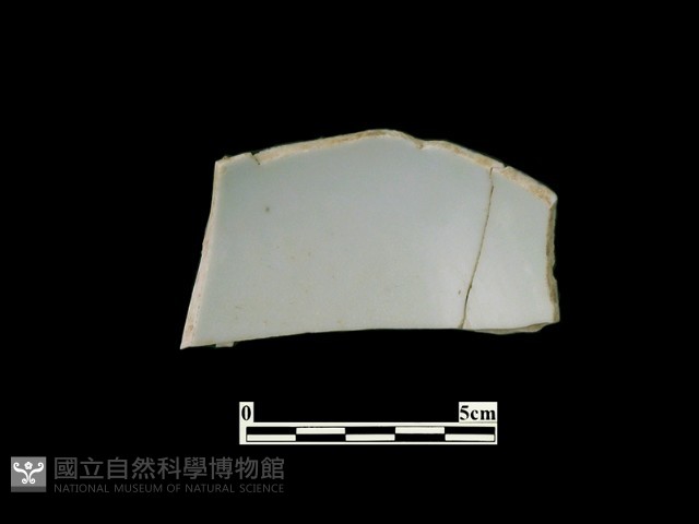 帶紋飾瓷片藏品圖，第1張