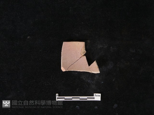 瓷碗藏品圖，第2張