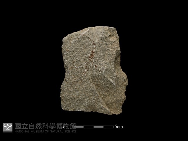 斧鋤形器藏品圖，第2張