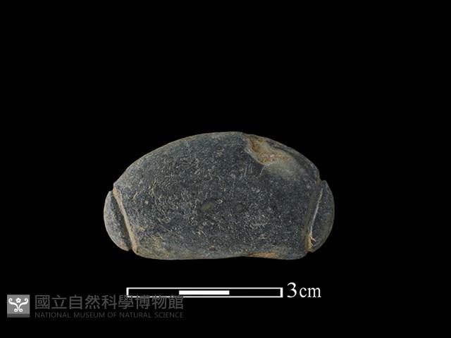 網墜藏品圖，第2張