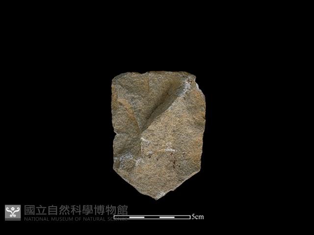 斧鋤形器藏品圖，第2張