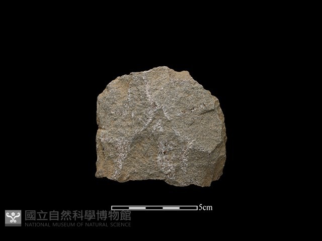 斧鋤形器藏品圖，第2張