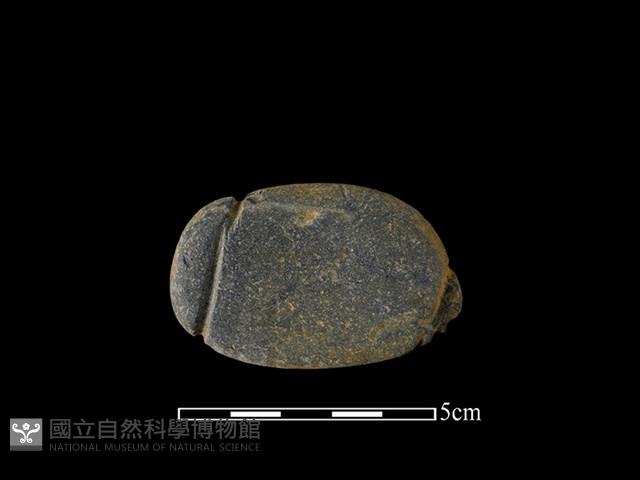 網墜藏品圖，第2張