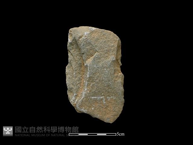 Accession Number:SWK-2020-067 Collection Image, Figure 2, Total 2 Figures