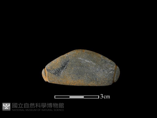 網墜藏品圖，第2張