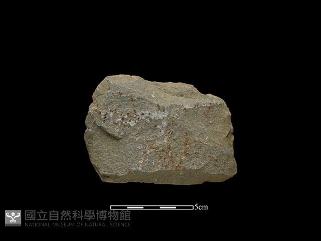 Accession Number:SWK-2020-087 Collection Image, Figure 2, Total 2 Figures