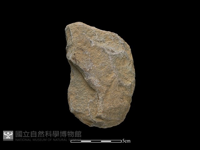 斧鋤形器藏品圖，第2張