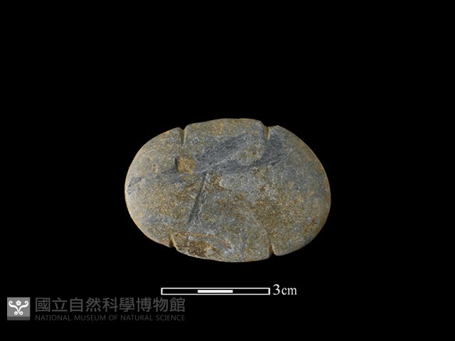 網墜藏品圖，第2張