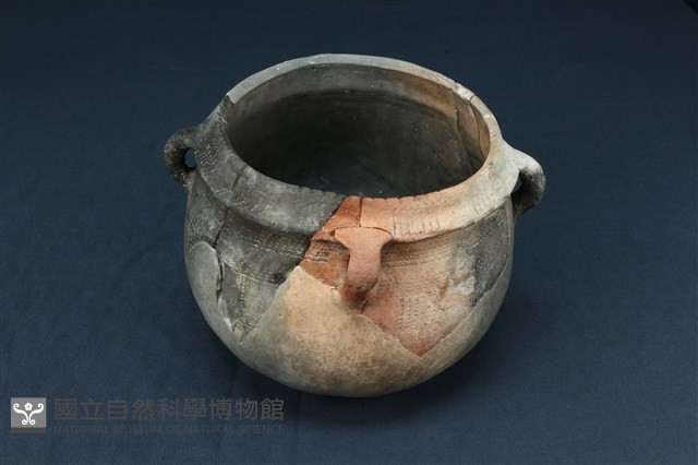 陶罐藏品圖，第5張