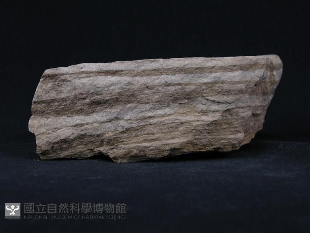 石灰質片岩藏品圖，第2張