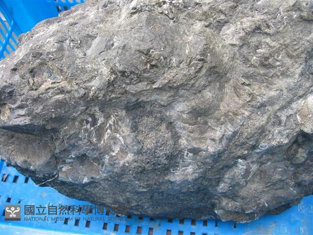 玻璃質玄武岩藏品圖，第2張