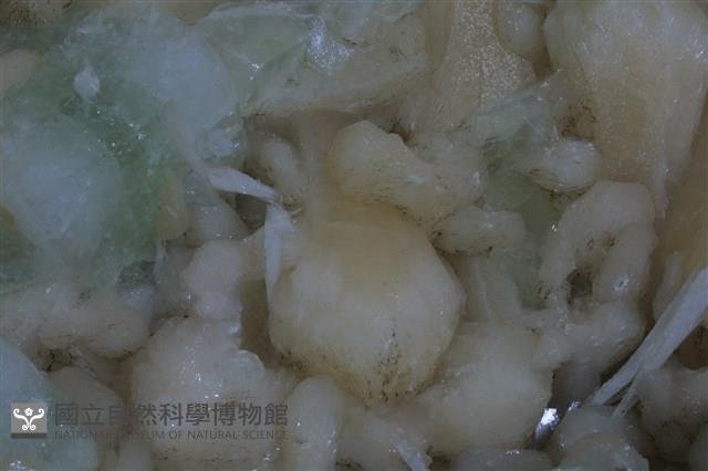 魚眼石/輝沸石/鈣沸石藏品圖，第5張