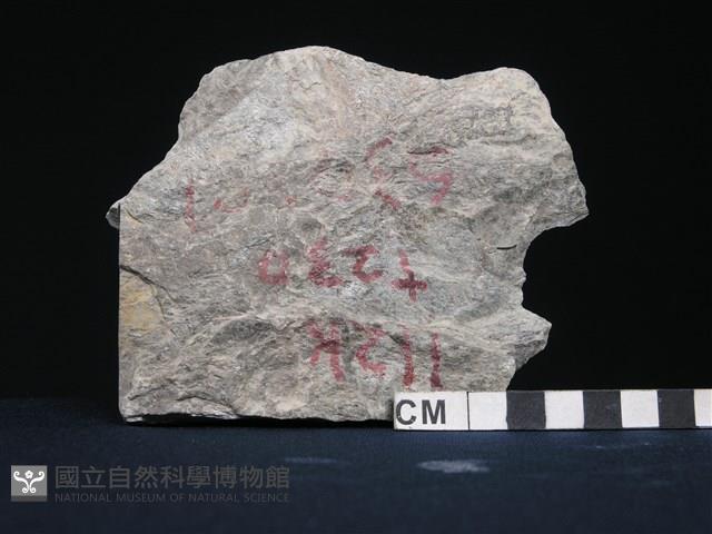 矽質片岩藏品圖，第2張