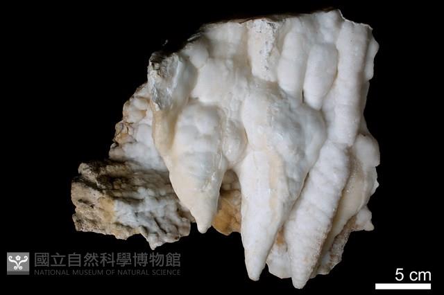 鐘乳石藏品圖，第2張