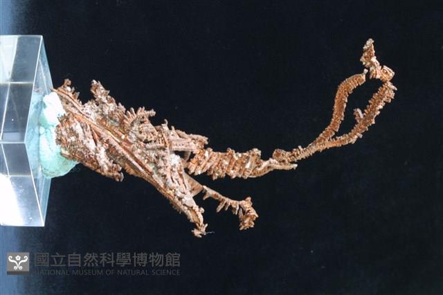 自然銅藏品圖，第5張