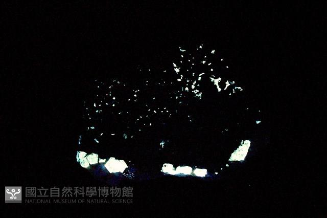 白鎢礦/石英藏品圖，第5張
